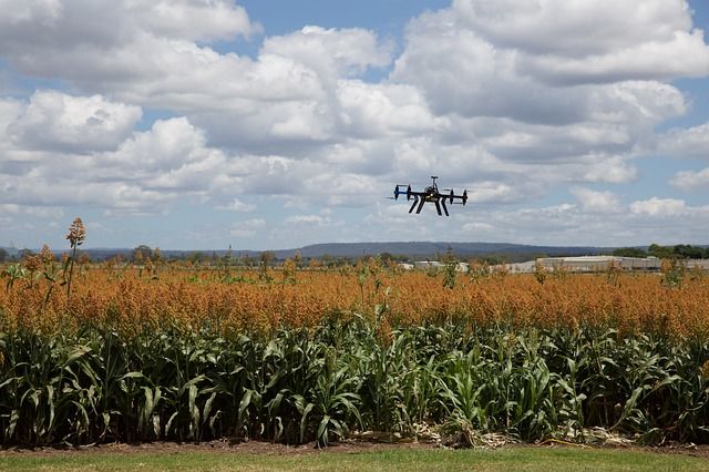 farma-agrotes-AI-technology-drone-agriculture